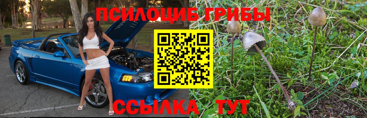 Псилоцибиновые грибы Cubensis  закладка  Киров  Псилоцибиновые грибы ЛСД  Вход с VPN 
