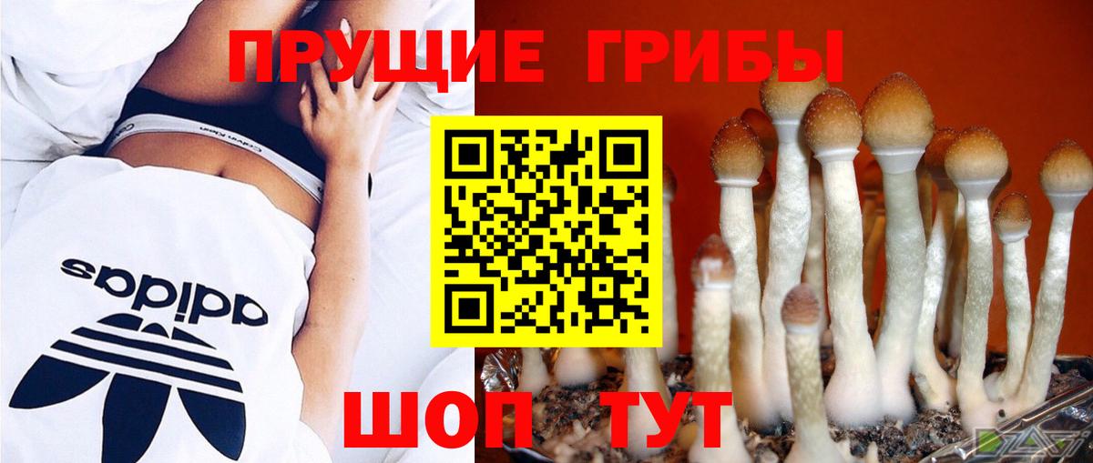 Псилоцибиновые грибы мухоморы  сколько стоит  Киров  Псилоцибиновые грибы ЛСД 